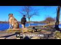 Long Island Dog Trainer: Pitbull Mix Rocko with Amazing Obedience-Best Trainers in NY Long Island Dog Trainer: Pitbull Mix Rocko with Amazing Obedience-Best Trainers in NY