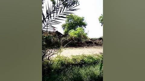 ما تيسر من سورة الزمر -Surat Az-Zumar
