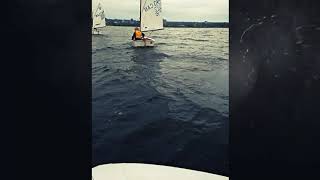 RHYC OPTI RACE TEAM 2017