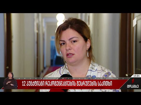 12-პუნქტიანი რეკომენდაციების შესრულების საკითხი