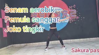 SENAM AEROBIK PEMULA SANGGAR 3 INTI LAGU JOKO TINGKIR🥰🥰