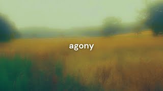 hozuki - agony (Slowed + Reverb)