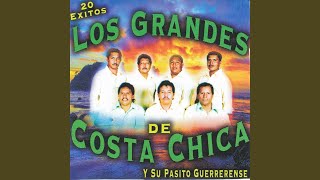 Video thumbnail of "los grandes de costa chica & su pasito guerrerense - Pajarillo Jilguero"