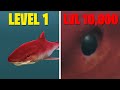 NEW RED SHARK BIGGER THAN THE MAP?! - Feed and Grow Fish - Part 142 | Pungence