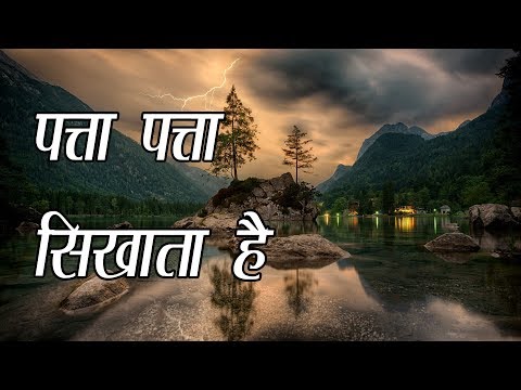 वीडियो: अनन पेलोकिन द्वारा प्रकृति के साथ कनेक्शन की रूपरेखा लकड़ी के शैलेट