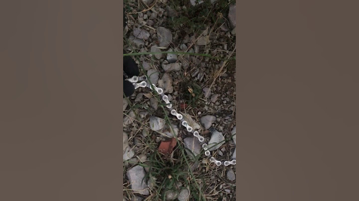 Mi ha fatto cadere a terra lei! L'incubo dei ciclisti 2 💥🤕