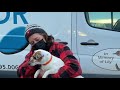 46 Puppy Mill Rescue Dogs Return to Kennel and are Off-Loaded to Freedom