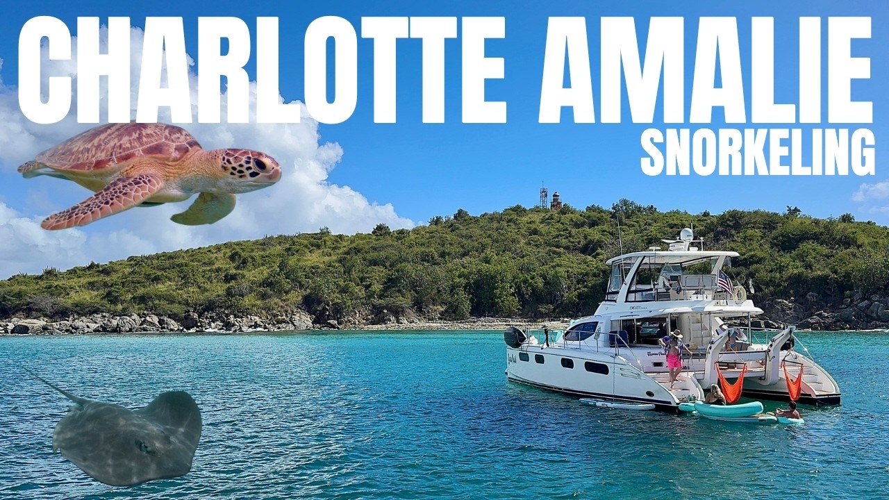 ST. THOMAS BLEW US AWAY 🌊 | LITTLE BUCK ISLAND | Snorkelling in USVI