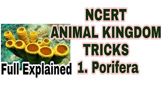 NEET 2023 ANIMAL KINGDOM TRICKS Lecture 2 (Porifera Phylum) Full NCERT based