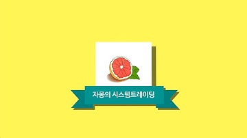 자몽의 시스템 트레이딩 첫걸음 03 [맛보기 영상]