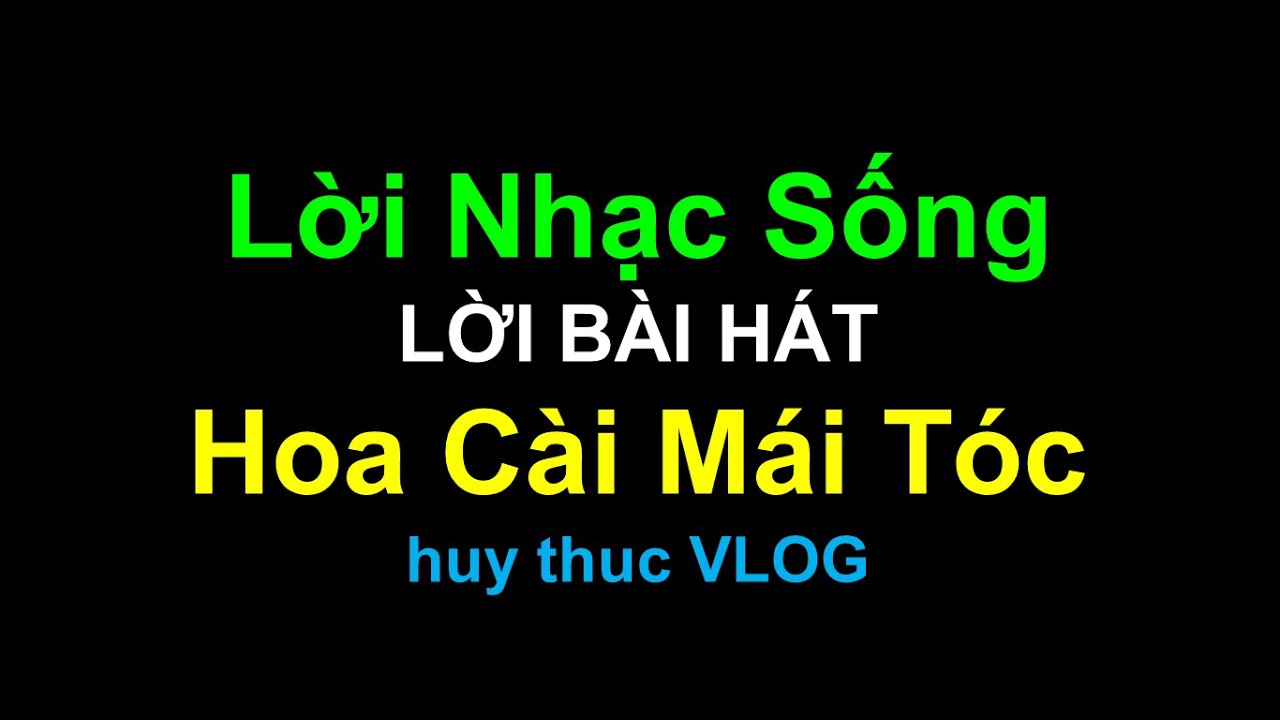 hoa cài mái tóc remixTìm kiếm TikTok