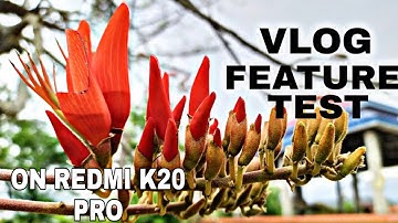 New vlog feature test in redmi k20 pro