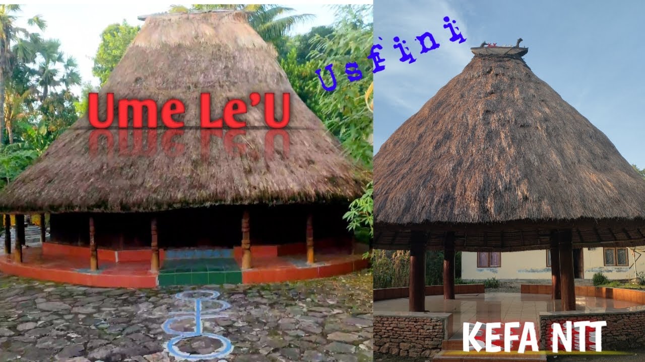 Rumah Adat Usfini || Ume Le'U || Kefa Menanu || TTU NTT - YouTube