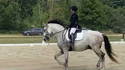Schooling show- first of 2022. Oh well.