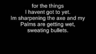 Miniatura del video "Megadeth-Sweating Bullets With Lyrics."