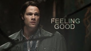 Supernatural | Feeling Good [+13x01]