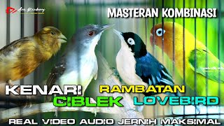MASTERAN KOMBINASI  RAMBATAN - KENARI - LOVEBIRD - CIBLEK CRISTAL