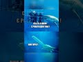#reelsinstagram #shortstory #videoshorts #shortsvideos #jaws #humor #reels #memes #акули #щелепи
