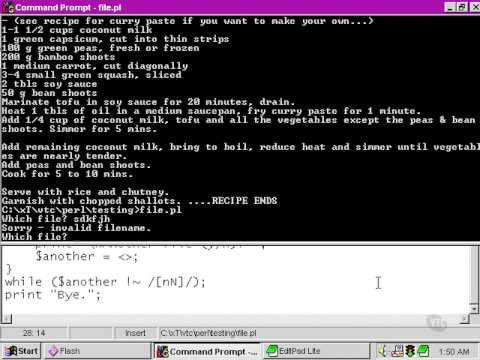 VTC Player   Perl Fundamentals, The script complete