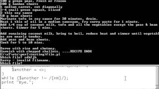 VTC Player   Perl Fundamentals, The script complete