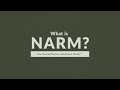 Overview of the neuroaffective relational model narm