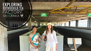 How the BEST TEA in the World is Made !!! Rothschild Tea Factory, Sri Lanka ! ( YOU MUST SEE THIS! )