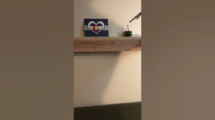 Hidden Gun Shelf #tactical #diy