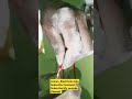 Electrical switch board Joint #electricpower #electricwork #short #viral #video