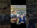 کتے کی پیدائش کیسے ہوئی Youtube Youtuber Youtubeshorts Ytshort Yt کتے کی پیدائش کیسے ہوئی Youtube Youtuber Youtubeshorts Ytshort Yt
