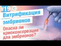 Как эмбрионы переносят заморозку после ЭКО? Витрификация что это?