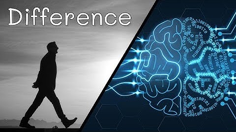 INTJ INTP Difference