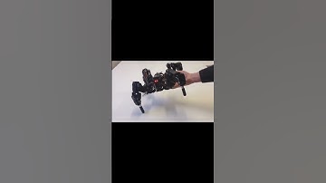 Deze viervoetige robot 4DOF loopt als een echt dier! 🤖🐾