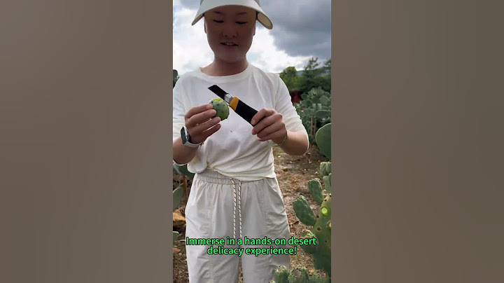 Prickly Fruit Bliss: Raw Cactus Fruit Taste Adventure!