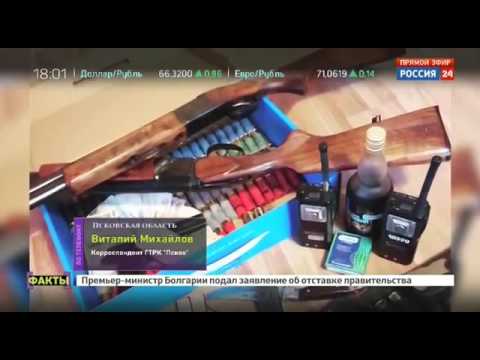 Вымирание Вымирание