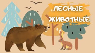 Лесные Животные Для Детей Как Говорят Животные Звуки Животных