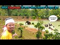  elephant          dream     vlogs   