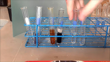 Chemical Composition of Cells