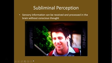 Sensation and Perception Part 2