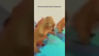 The Boyz At A Sleepover