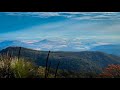 Bunya mountains  camping in one of the australias most beautiful national parks