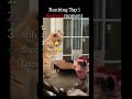 Ranking the best Animal moments