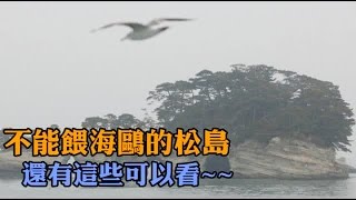 不能餵海鷗的松島還有這些可以看| 台灣蘋果日報