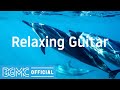 Relaxing Guitar: Easy Listening Instrumental Music with Beautiful Ocean Scenery - リラックス音楽 image