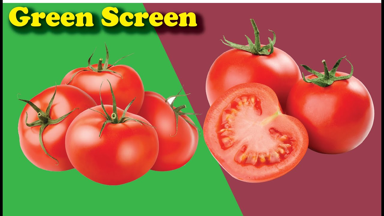 Green Screen Tomato Part 3||Copyright or Royalty Free Videos ||For More Visit Freesource||