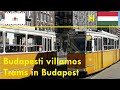 Trams in budapest hungary  budapesti villamos 20202021