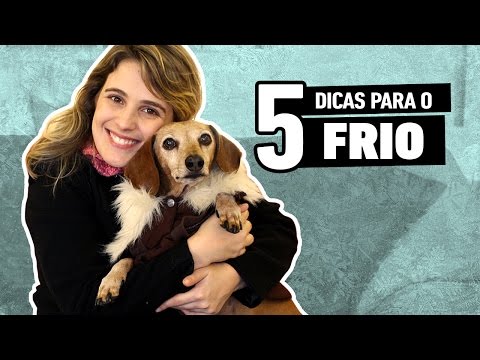 Vídeo: Como Manter Um Cachorro Aquecido No Inverno