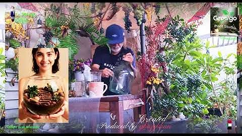 growgo promo Thaiversion