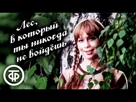 Лес, в который ты никогда не войдешь. Художественный фильм (1978)