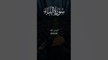 سورة النبأ❤️ Ayat : 38-40 Best Islamic Status Video YouTube Quran Translation Urdu Sarmad___Chattha