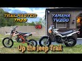 Yamaha TW200 vs. Trailmaster TM29 125cc Pitbike [4K]